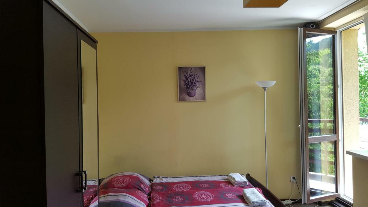 Bed and Breakfast Niezapominajka Szczyrk Esterno foto
